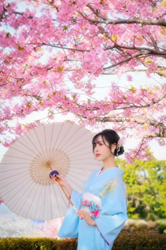 Traditional kimono rental in Asakusa with pink sakura blossoms and Japanese parasol