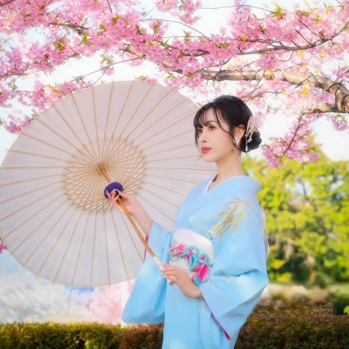 Kimono rental in Asakusa - woman in a light blue kimono with a paper parasol under cherry blossoms, styled at Kimono Rental Ann, 1 minute from Sensoji Temple