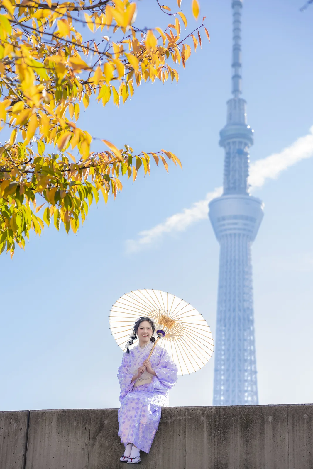 Woman in lavender kimono with a paper umbrella, golden ginkgo leaves and Tokyo Skytree in Asakusa
