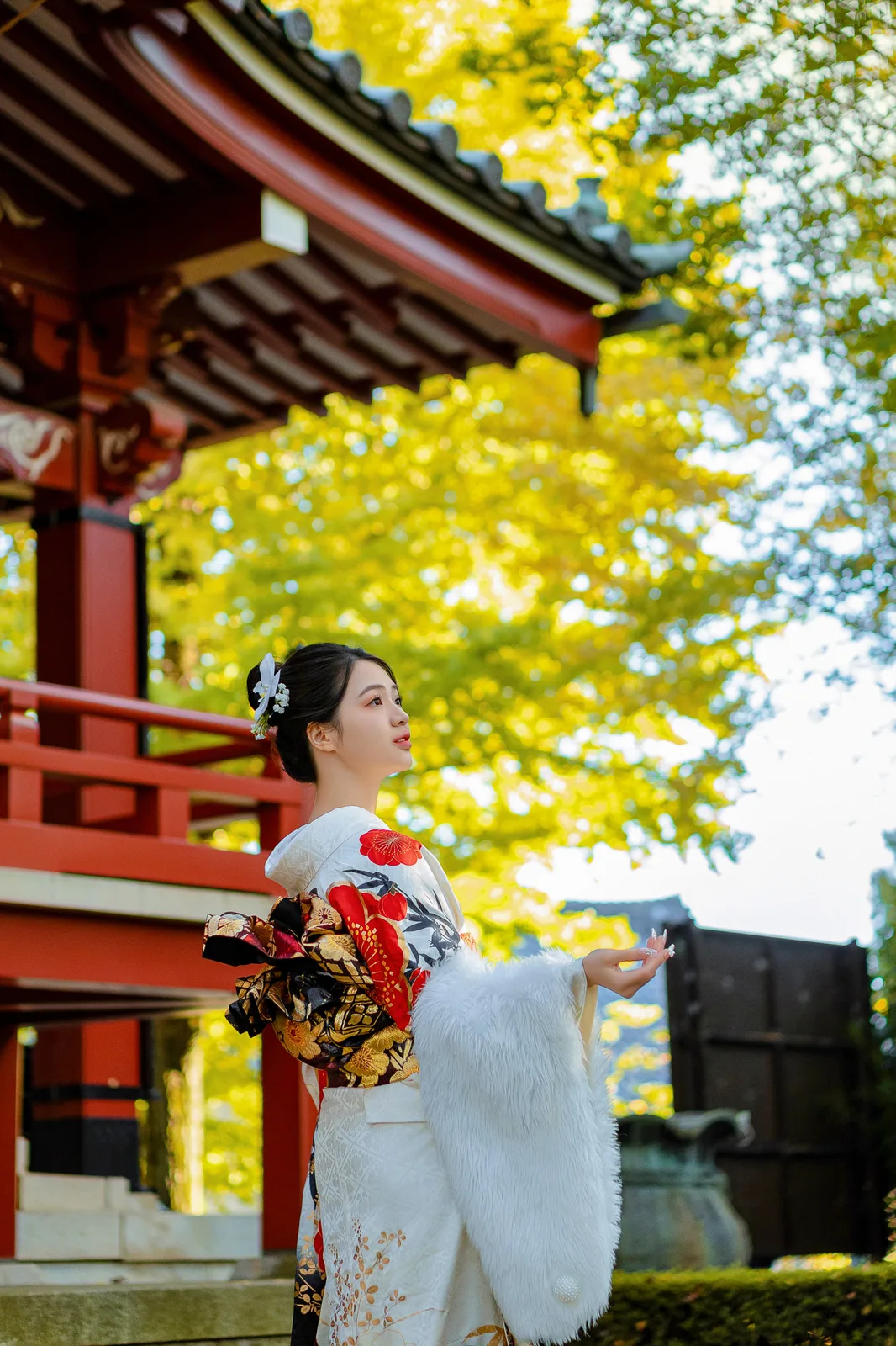Kimono photoshoot beside the red temple pavilion and golden ginkgo at Matsuchiyama Shoden