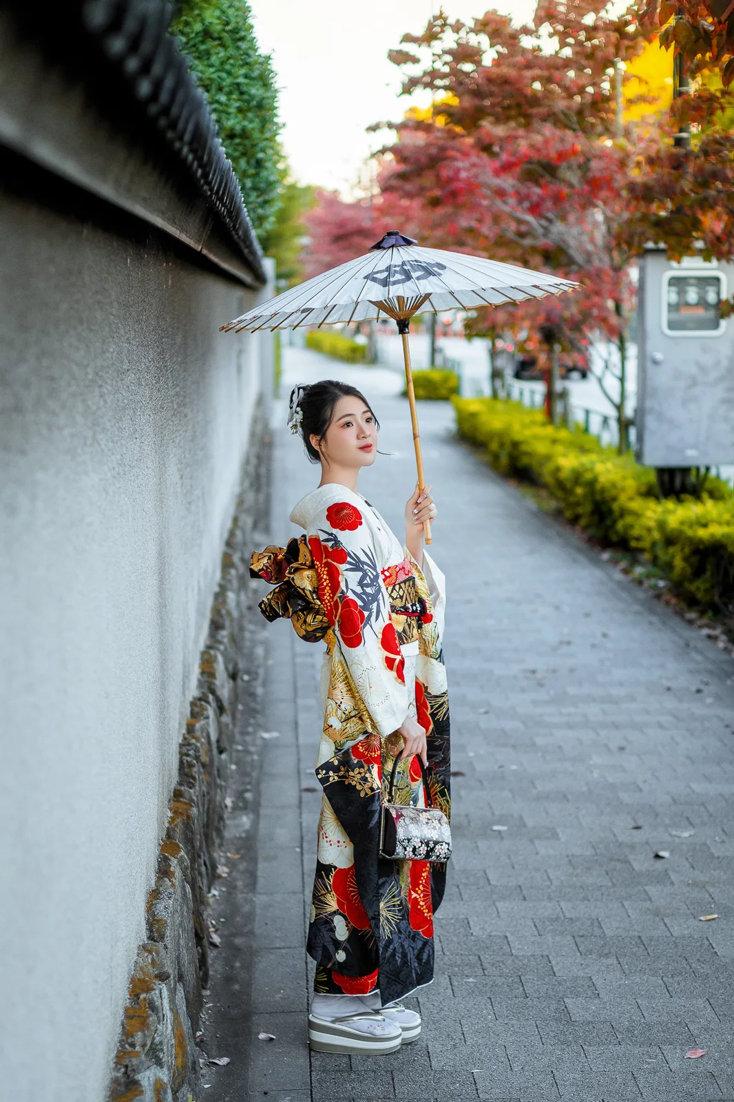 Woman in kimono with a paper umbrella walking along a white temple wall with red maple leaves near Matsuchiyama Shoden