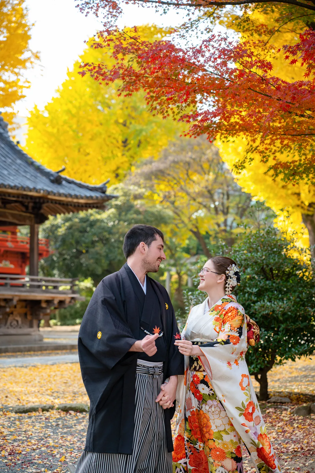 Couple in kimono and hakama under red maple and golden ginkgo at Nezu Shrine, Tokyo