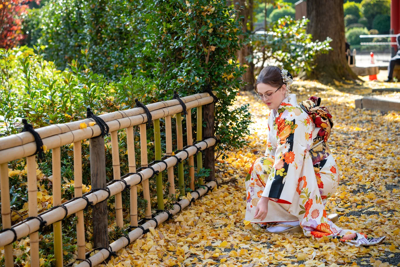 Woman in white furisode crouching on a path of fallen yellow ginkgo leaves beside a bamboo fence at Nezu Shrine