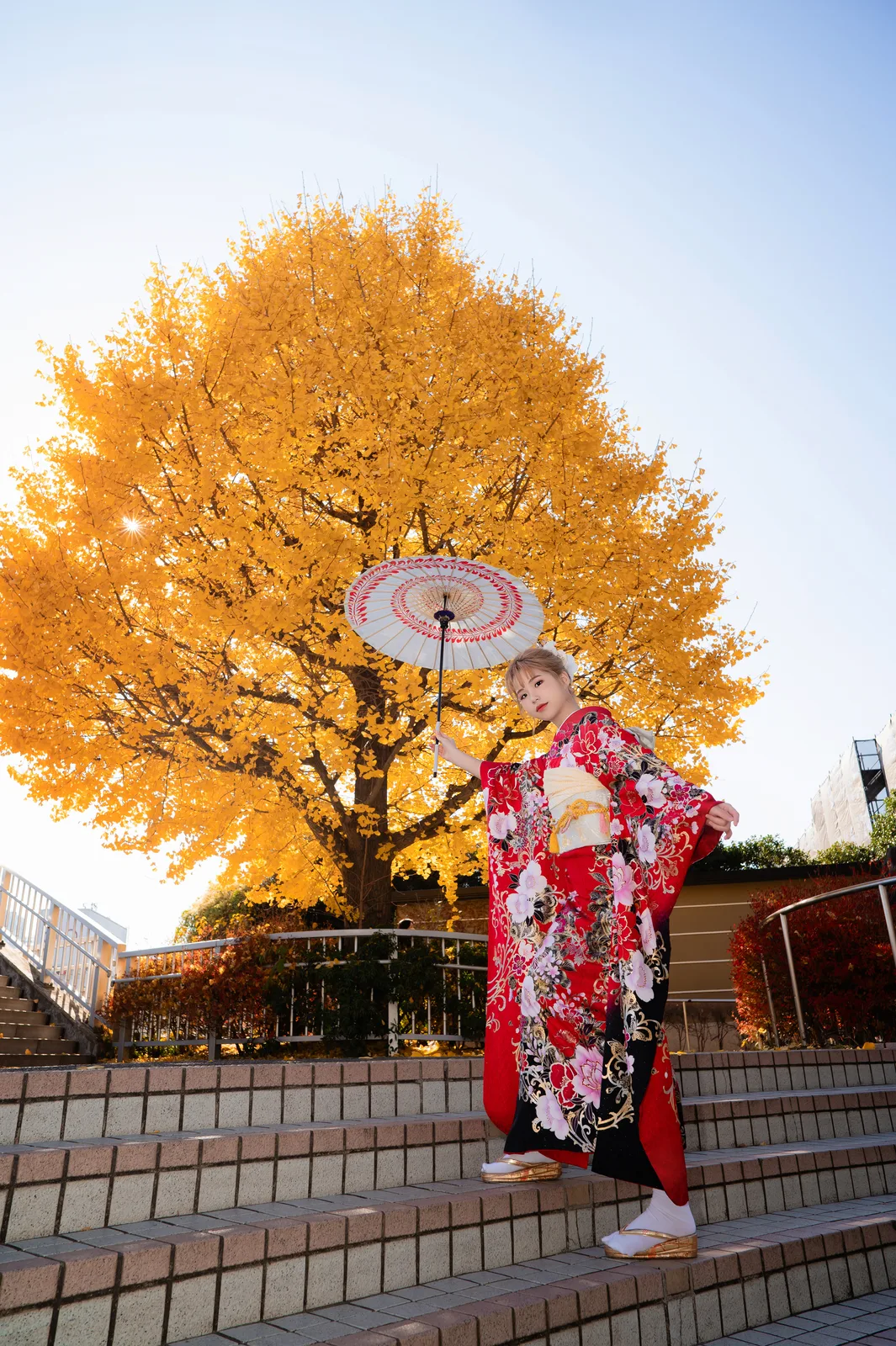 Woman in red furisode with a paper umbrella in front of a giant golden ginkgo tree in Ueno Park